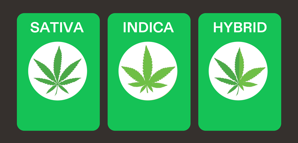 Sativa, Indica, Hybrid